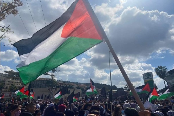 Adalah: Q & A on the Legality of Waving the Palestinian Flag - Adalah